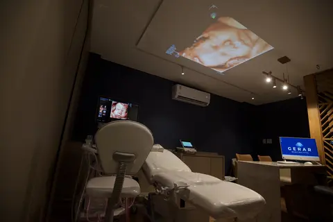 Voluson Expert 22 com a imagem 3D do bebê na tela